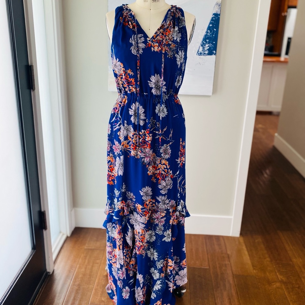 Greylin Blue Floral Maxi Dress